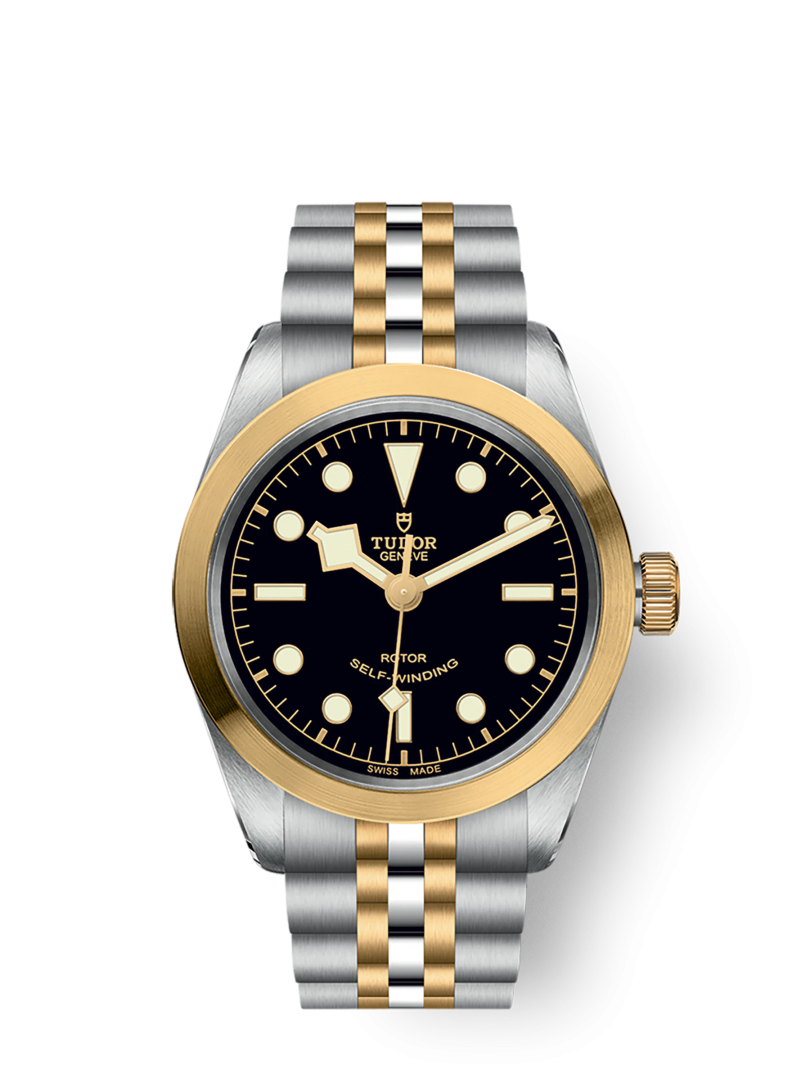 Tudor Black Bay 36 S G M79503 0001 WATCH DE LUXE