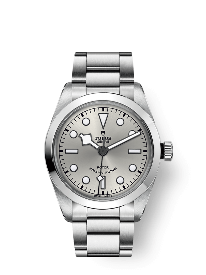 Tudor Black Bay 36 M79500 0013 WATCH DE LUXE