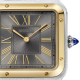 Cartier Santos-Dumont W2SA0028 43.5mm steel gold case with leather strap