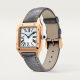 Cartier Santos-Dumont WGSA0022 small size quartz rose gold leather strap