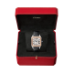 Cartier Santos-Dumont W2SA0011 Santos-Dumont