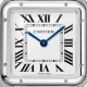 Cartier Panthère de Cartier LARGE MODEL WSPN0011 31 mm x 42 mm, Quartz, Steel