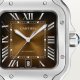 Cartier Santos de Cartier WSSA0046 39.8 mm Automatic Steel
