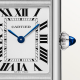 Cartier Tank Must SOLARBEAT™ SMALL MODEL WSTA0091 29.5 mm x 22 mm Photovoltaic Steel