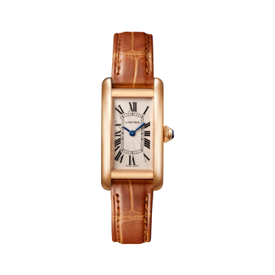 Cartier Tank Américaine W2607456 Tank Americaine