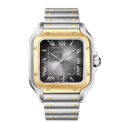 Cartier Santos de Cartier W2SA0030 Large  automatic, gold, steel, two bracelets