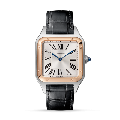 Cartier Santos-Dumont W2SA0011 Santos-Dumont