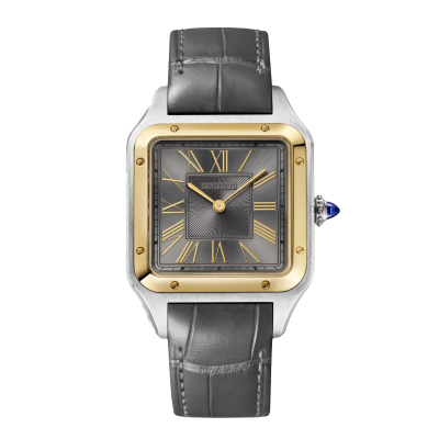 Cartier Santos-Dumont W2SA0028 43.5mm steel gold case with leather strap
