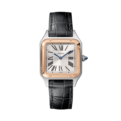 Cartier Santos-Dumont W2SA0012 SANTOS-DUMONT