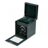 Wolf 1834 British Racing Green