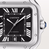 Cartier Santos de Cartier