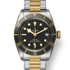 Tudor Black Bay