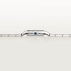 Cartier Panthère de Cartier