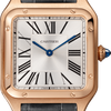 Cartier Santos-Dumont