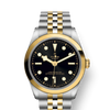 Tudor Black Bay 36 S&G