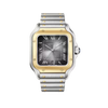 Cartier Santos de Cartier