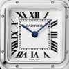 Cartier Panthère de Cartier