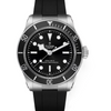 Tudor Black Bay