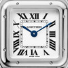 Cartier Panthère de Cartier