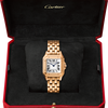 Cartier Panthère de Cartier