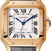 Cartier Santos de Cartier