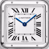 Cartier Panthère de Cartier