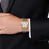 Cartier Santos de Cartier