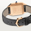 Cartier Santos-Dumont