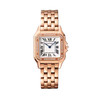 Cartier Panthère de Cartier