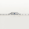 Cartier Panthère de Cartier