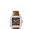 Cartier Santos de Cartier