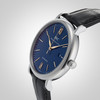 IWC Schaffhausen Portofino
