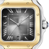 Cartier Santos de Cartier