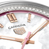 TAG Heuer Carrera