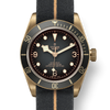Tudor Black Bay Bronze