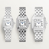 Cartier Panthère de Cartier