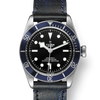 Tudor Black Bay