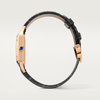 Cartier Santos-Dumont