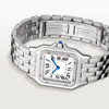 Cartier Panthère de Cartier