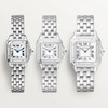 Cartier Panthère de Cartier