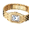 Cartier Panthère de Cartier