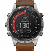 Garmin