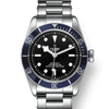 Tudor Black Bay