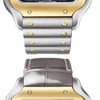 Cartier Santos de Cartier