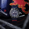 Tudor Pelagos