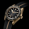Tudor Black Bay Bronze