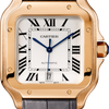 Cartier Santos de Cartier