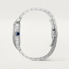 Cartier Santos de Cartier