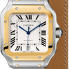 Cartier Santos de Cartier