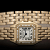 Cartier Panthère de Cartier